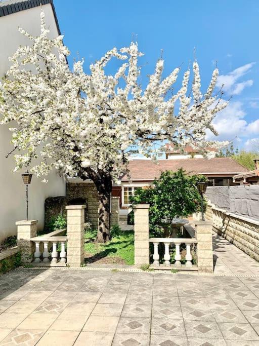 Villa 3 Bedrooms House - Garden - Parking, Center Near Paris And Orly Antony