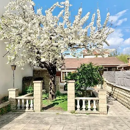 3 Bedrooms House - Garden - Parking, Antony Center Near Paris And Orly Exterior photo