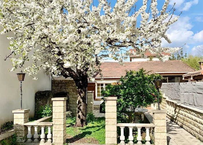 3 Bedrooms House - Garden - Parking, Antony Center Near Paris And Orly